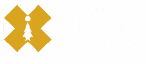 Inicio instituto educativo sifuentes